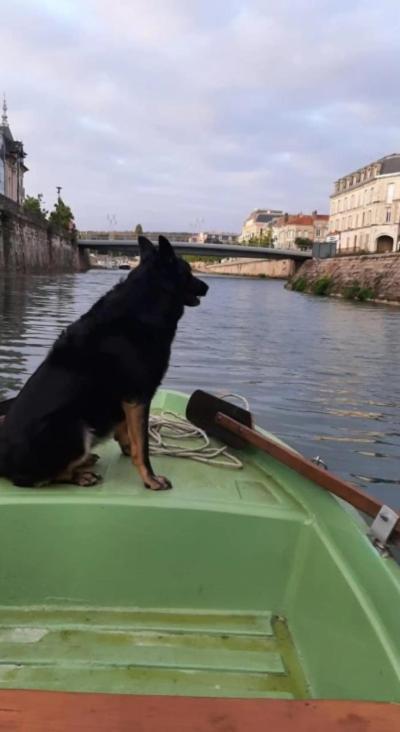 Le Gite Embarque - Gere Par Presta-Zen'Services - Barque Electrique En Supplement Verdun Extérieur photo